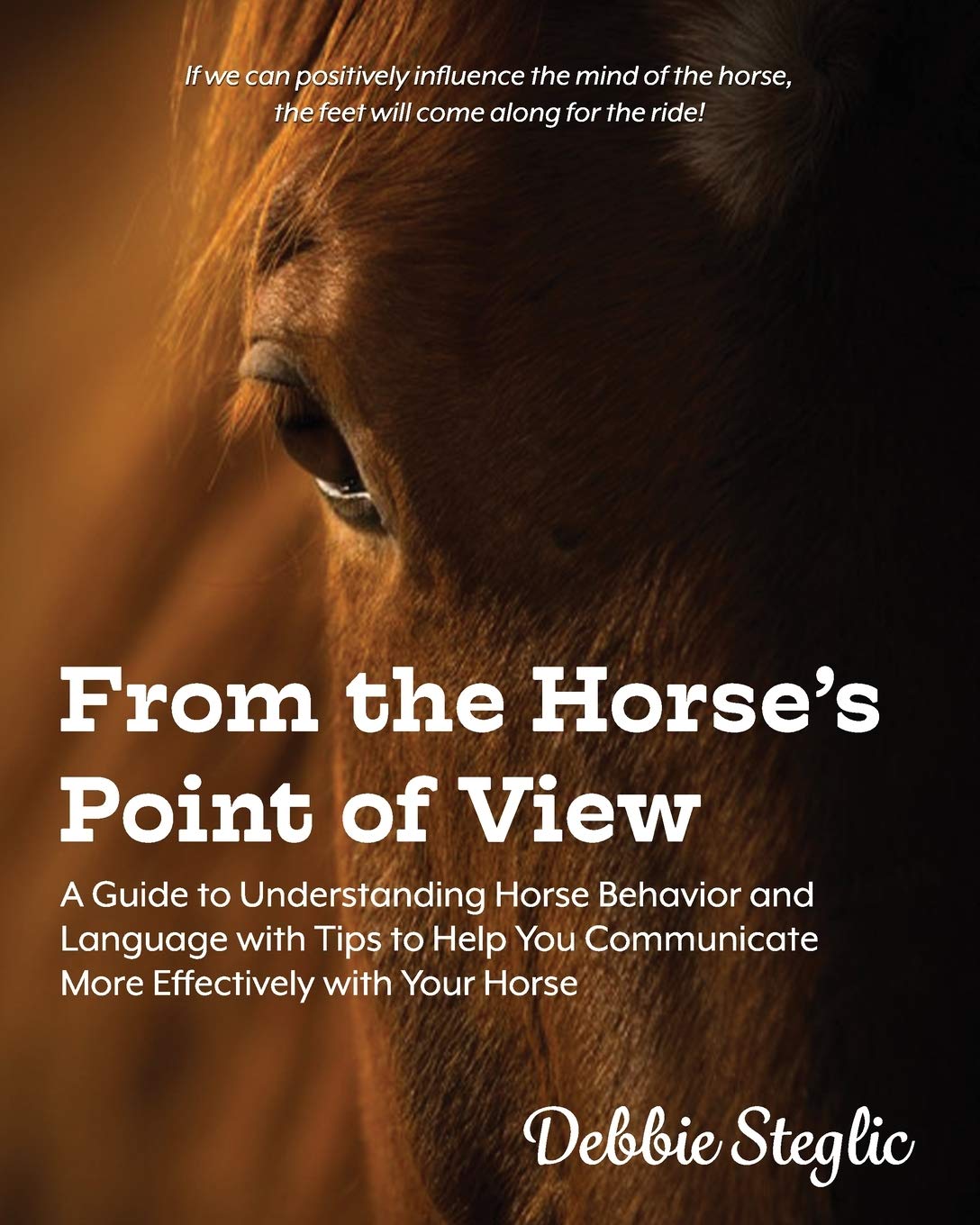Book Cover for "From the Horse's Point of View"