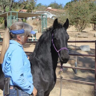 Debbie standing with a black horse