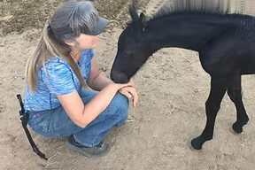 Debbie kneeling down to a baby horse