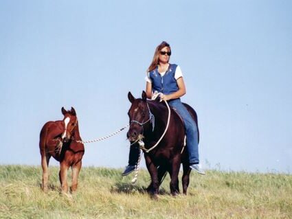 Cheyenne walking with Debbie as she rides on Troubadour