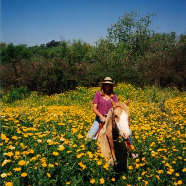 Debbie sitting on her horse in a field of yellow flowers